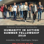 Summer fellowship poster